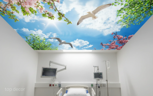 پوستر دیواری آسمان و پرندگان