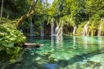 پوستر دیواری طبیعت