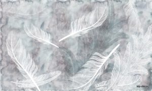 پوستر دیواری طرح پر