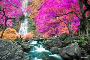 پوستر دیواری سه بعدی طرح آبشار درخت برگ سرخابی