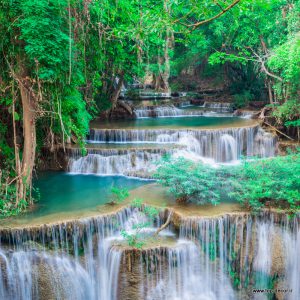 پوستر دیواری طرح جنگل و آبشار