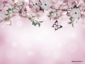 پوستر دیواری طرح زمینه صورتی شکوفه و پروانه