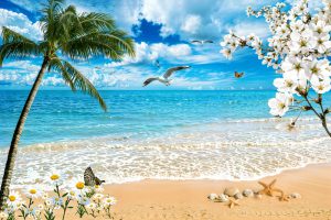 پوستر دیواری طرح ساحل دریا ستاره دریایی