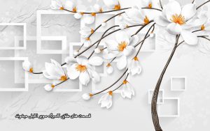پوستر دیواری سوپر اکلیلی