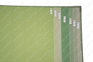 کاغذ دیواری کنتراست تم سبز