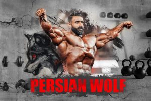 پوستر دیواری ورزشی Persian Wolf 