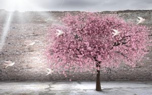 پوستر دیواری درخت شکوفه گیلاس