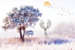 پوستر دیواری طبیعت زمستانی