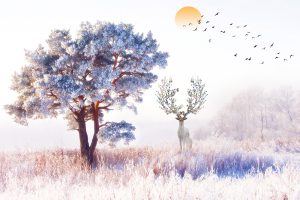 پوستر دیواری طبیعت زمستانی