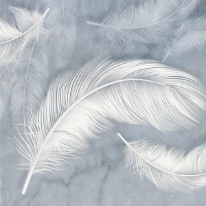 پوستر دیواری پرهای سفید