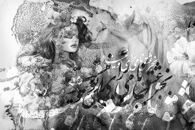 پوستر دیواری چهره زن و اسب